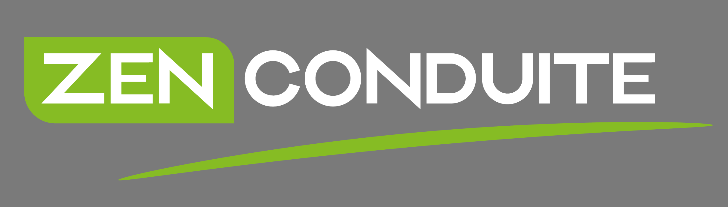 Zen Conduite